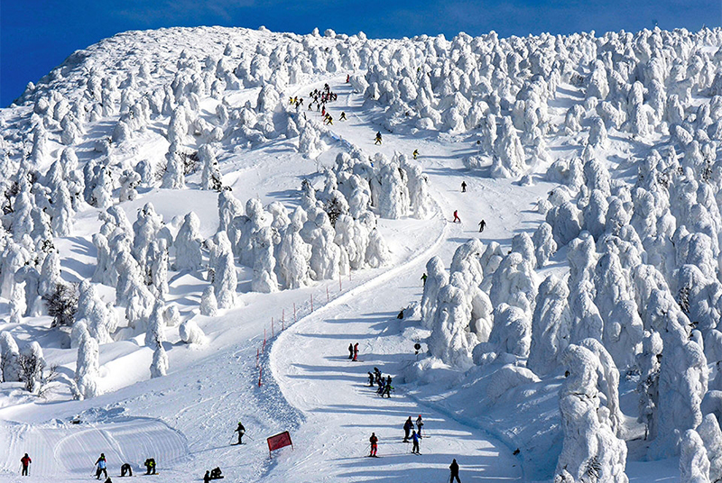 青森冬季—滑雪场推荐